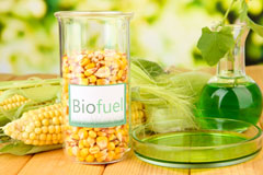 Ruan Major biofuel availability