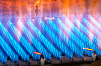 Ruan Major gas fired boilers